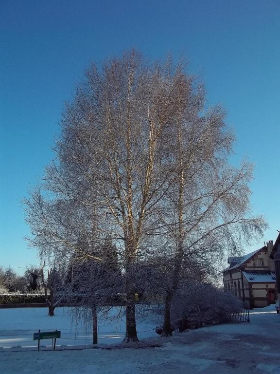 Le Cardonnet Bed and Breakfast Pont-Saint-Pierre Exteriör bild